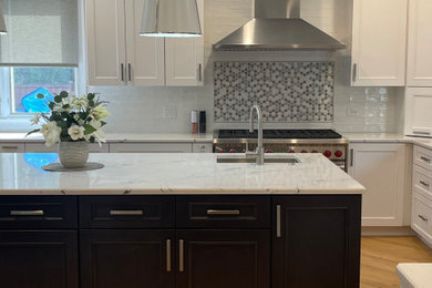 Inspiration for a transitional kitchen remodel in Chicago