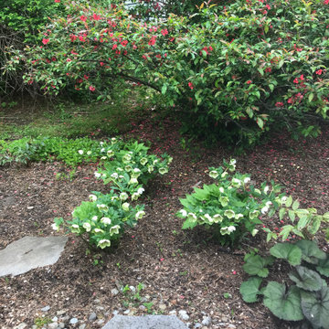 S.M. Cozy Backyard