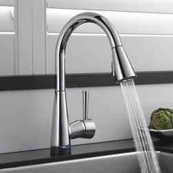 Delta Brizo - Kitchen Faucets