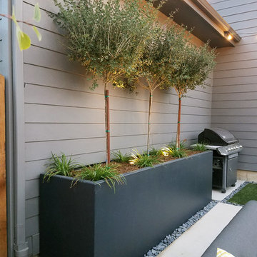 Bringing the Outdoors In-blurring the Boundaries of Indoor and Outdoor Spaces