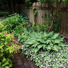 Backyard shade corner