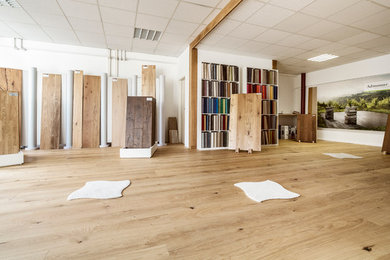 Modernes Wohnzimmer mit hellem Holzboden in Stuttgart