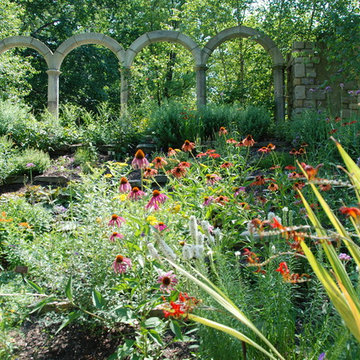 Butterfly Garden