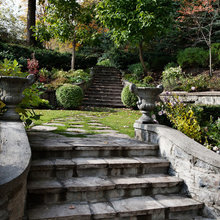 Yard Landscaping