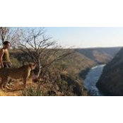Nicolas Breton's photo