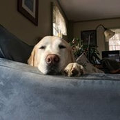 Bob Lesnikoski's photo