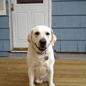 Elizabeth Eocaci-Tucker's photo