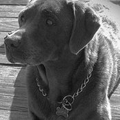 Joe Lentine's photo