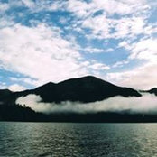 Wineocerous Smith's photo