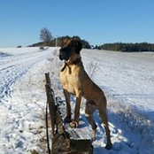 Foto von Ute Tantz