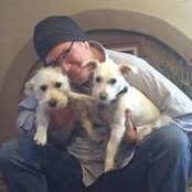 Steve Gillis's photo