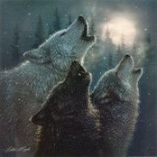 Sandy Knowles's photo