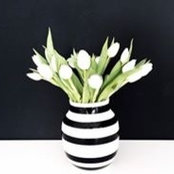 Anna Epishina's photo