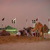 Gioconda Dardon's photo