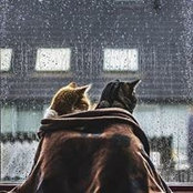 Nancy Tepeny's photo