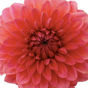Molly Whitaker's photo