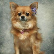 Carol Roker's photo