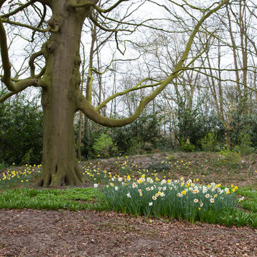 Keukenhof: World's Largest Bulb Garden