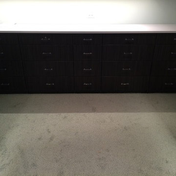 New Dressing room / Bath Remodel