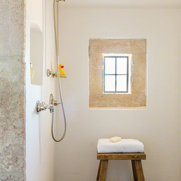 Silverleaf 3
