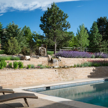Backyard Escape