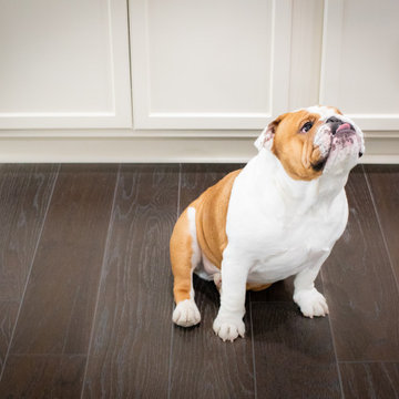Pet and kid friendly flooring