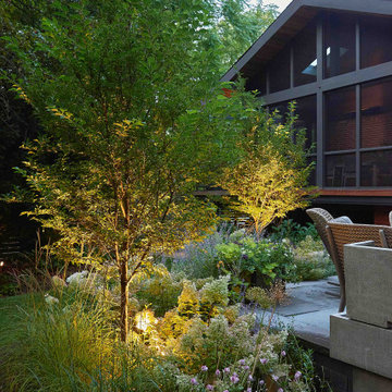 Restorative Sanctuary in High Park, Toronto