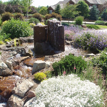 Meantime garden