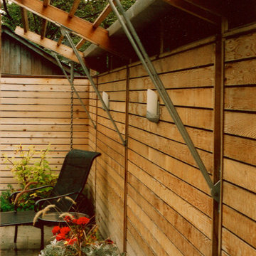 North Toronto Back Yard