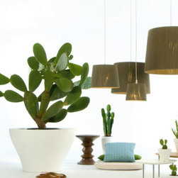 Lighting - Products