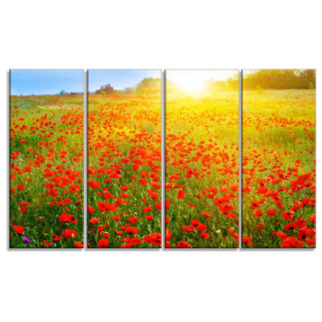 Beautiful Sunshine over Poppy Fields, Floral Canvas Art print, 48"x28", 4 Panels