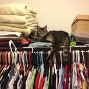 John Montavon's photo