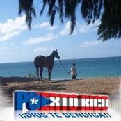 Michelle Ramos-Concepcion's photo