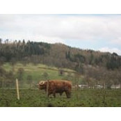 Rhona Millar's photo