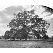 Priya Trivedi's photo