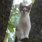 Kim Carr's photo