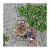 Andrew Clark's photo