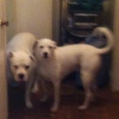 Foto von Randy and Sue T
