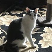 Foto von Desney Davidson