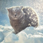 Foto di Nhật Bách Nguyễn