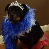 Michelle Valeri-Groff's photo