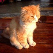 Tam Yuthasak's photo