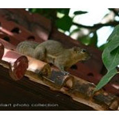 Photo de Yuli Hartono