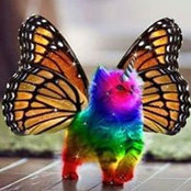 Lenee Pulver's photo