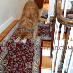 Pets on Stairs - Pet Supplies