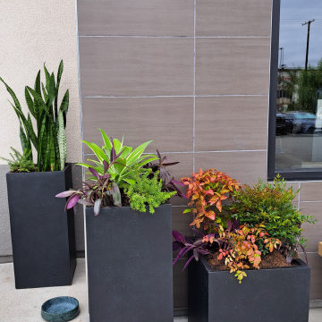 Starbucks Modern Planter Design