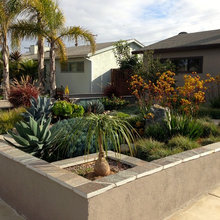 front yard