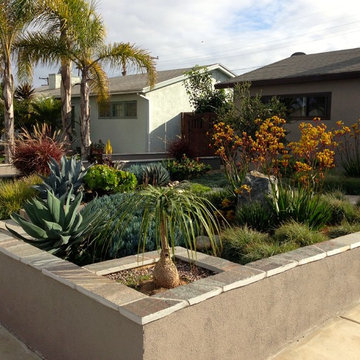 Elevated Modern Garden