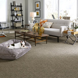 Chance- Stainmaster Pet Protect Carpet - Products