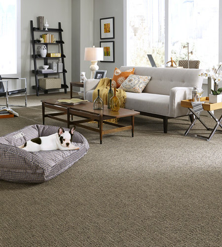 pet master carpet